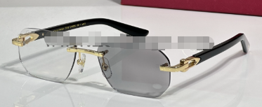 621429484 Sunglasses CT0593O