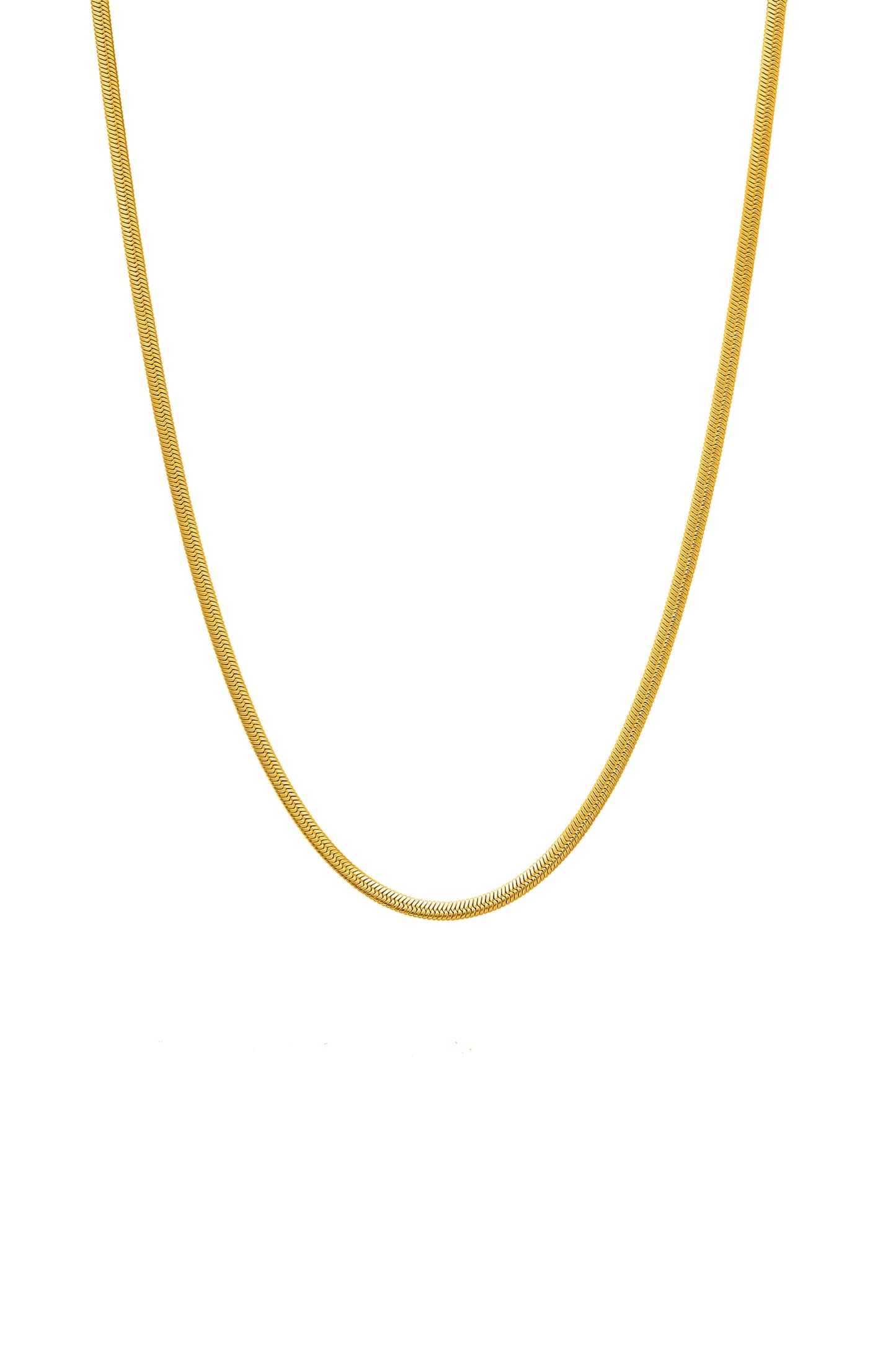 Snake Chain Necklace