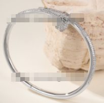 202525432-1 New Bracelet shipping fee
