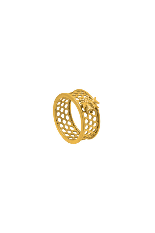 Reġina Ring