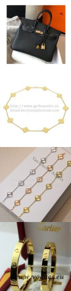 202524280 Birkin Bag and Vintage Alhambra Necklace and Bracelet and Love Bracelets