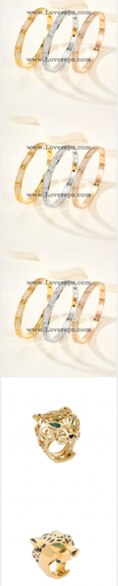 202525171 Love Bracelets and Panthere Rings