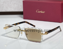 621428834 Photochromic Sunglasses CT0779S