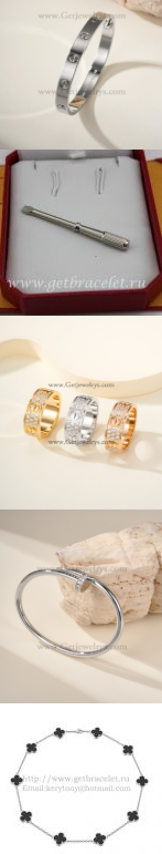 202523393 Bracelets and ring